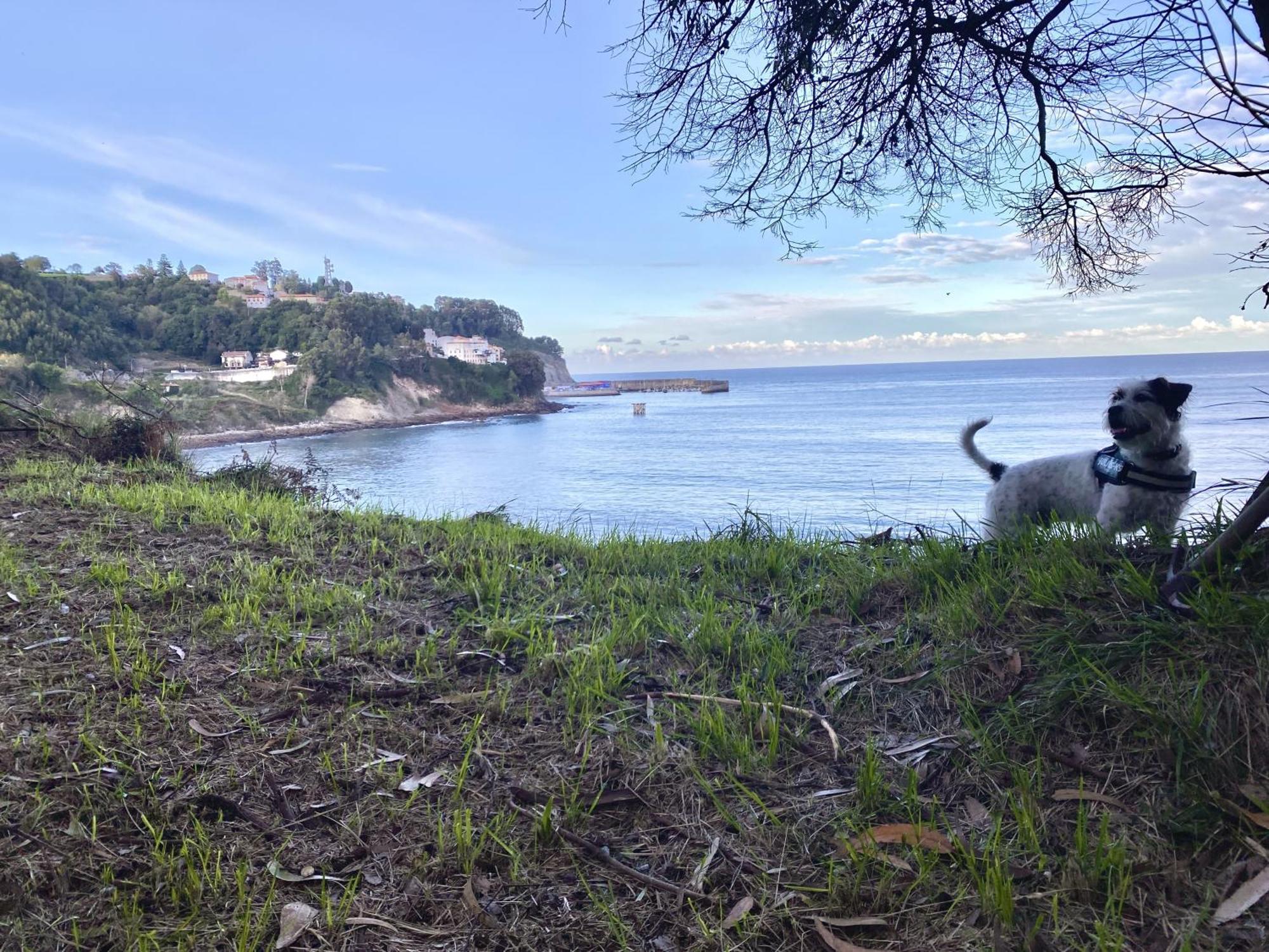 Respirando Salitre Apartamento En Lastres Exterior foto